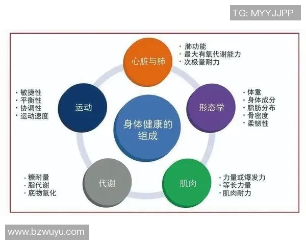 常见的有氧运动类型及其对身体健康的积极影响分析
